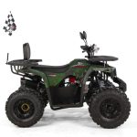 ATV 125CC XTR Pro FireShot 002 - imagine 3