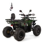 ATV 125CC XTR Pro FireShot 002 - imagine 4