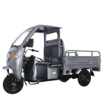 Tricicluri electrice și scutere