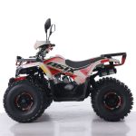 Atv Asix Hunter 125cc - imagine 4