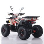 Atv Asix Hunter 125cc - imagine 3