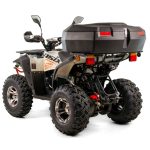 ATV Asix Magnum EEC 200cc , inmatriculabil T3B - imagine 3