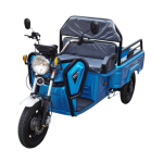 Triciclu electric BRECKNER GERMANY MODEL E 1600W 60V 20AH OMOLOGABIL