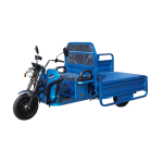 Triciclu electric BRECKNER GERMANY MODEL E 1600W 60V 20AH OMOLOGABIL - imagine 7