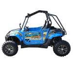 Buggy 4x2 UTV 400cc FX400-2 PREDATOR - imagine 4